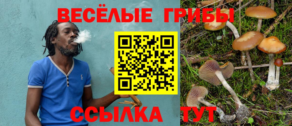 Галлюциногенные грибы MAGIC MUSHROOMS Кстово
