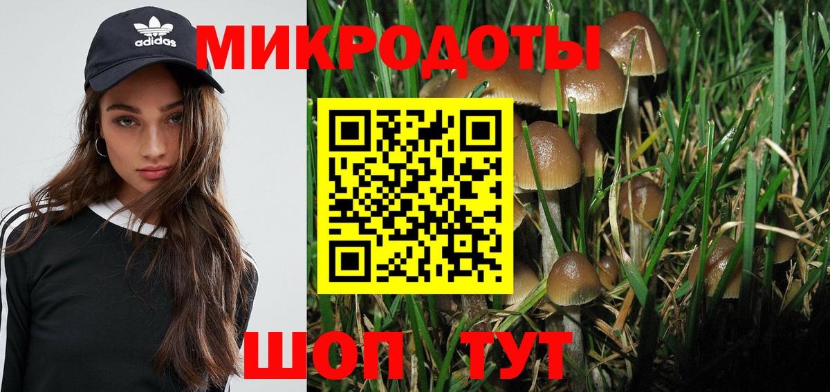 Кстово  Галлюциногенные грибы Cubensis  Вход с VPN 